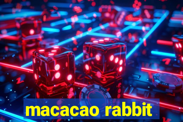 macacao rabbit