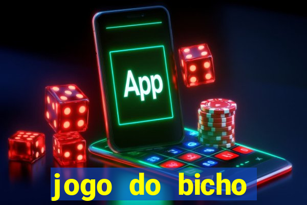 jogo do bicho crash bingo