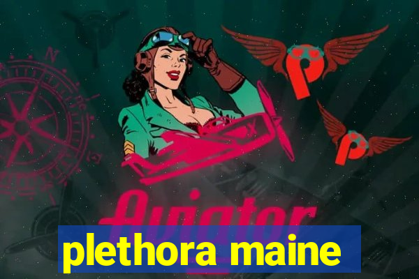 plethora maine