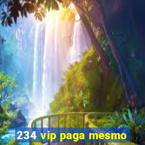 234 vip paga mesmo