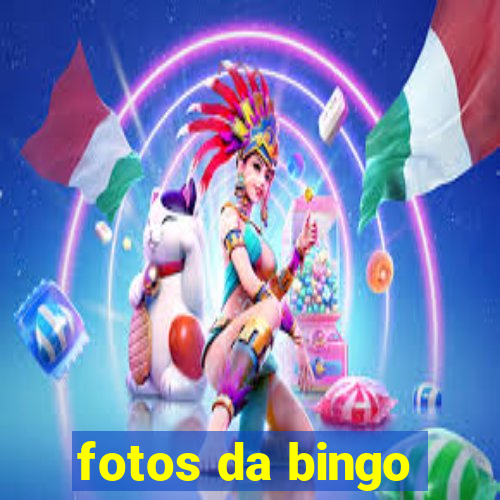 fotos da bingo