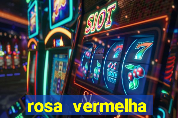 rosa vermelha (letra e cifra)