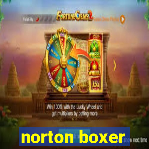 norton boxer