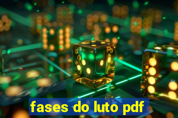 fases do luto pdf