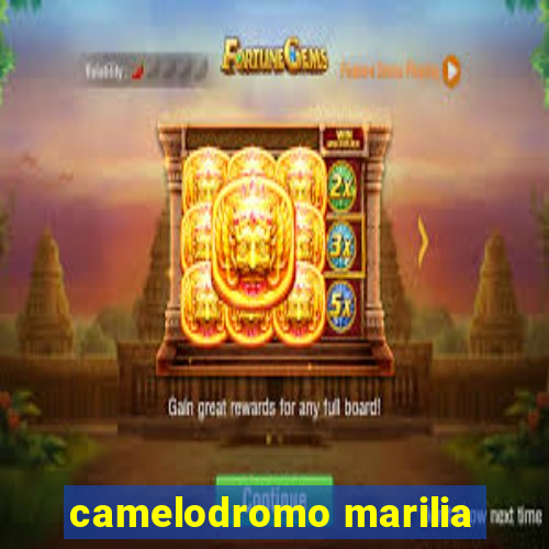 camelodromo marilia