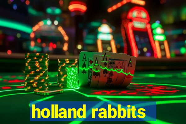 holland rabbits