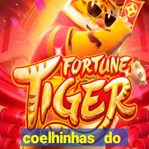 coelhinhas do brasil site