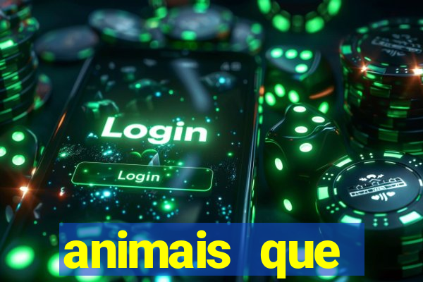 animais que produzem l茫