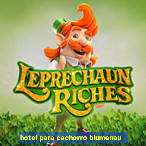 hotel para cachorro blumenau