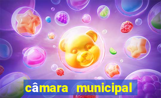 câmara municipal de juazeiro