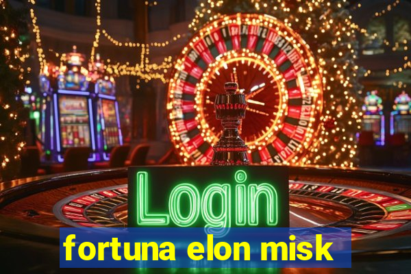 fortuna elon misk