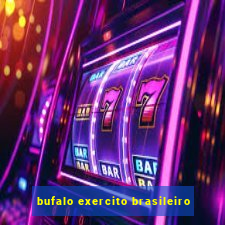 bufalo exercito brasileiro