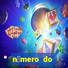 n煤mero do bate-papo da vivo