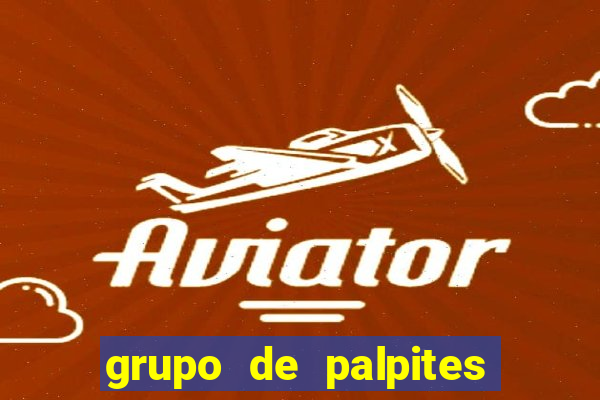 grupo de palpites de futebol