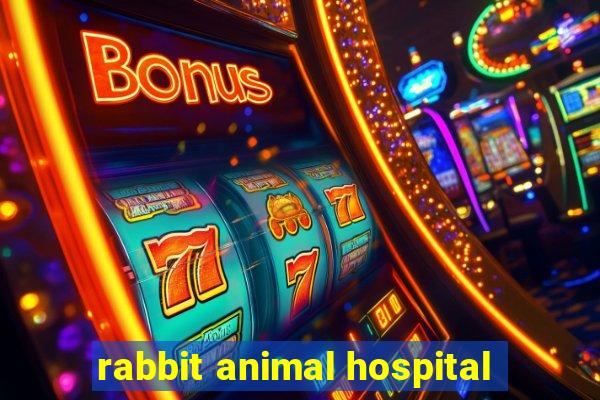 rabbit animal hospital