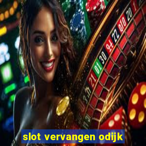 slot vervangen odijk