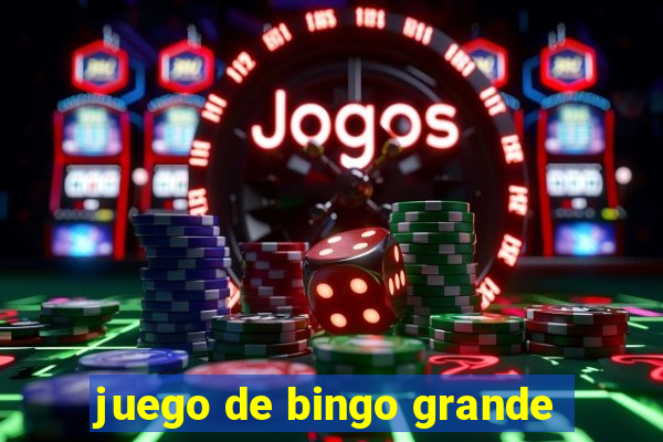 juego de bingo grande