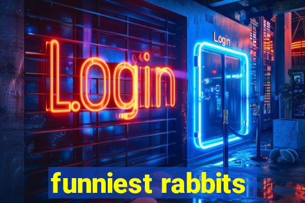 funniest rabbits