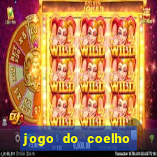 jogo do coelho esporte da sorte