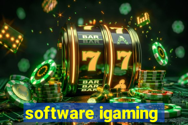 software igaming