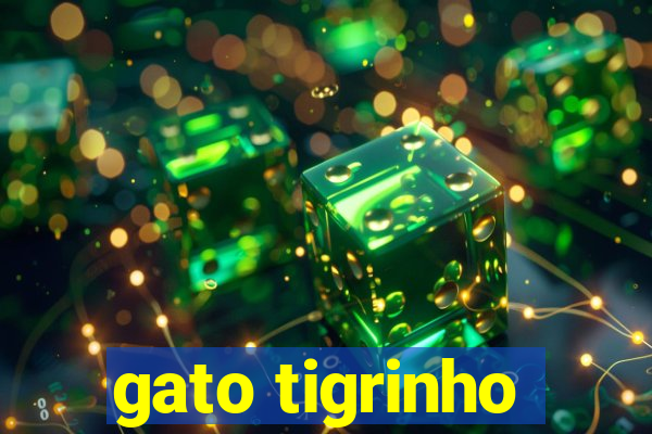 gato tigrinho