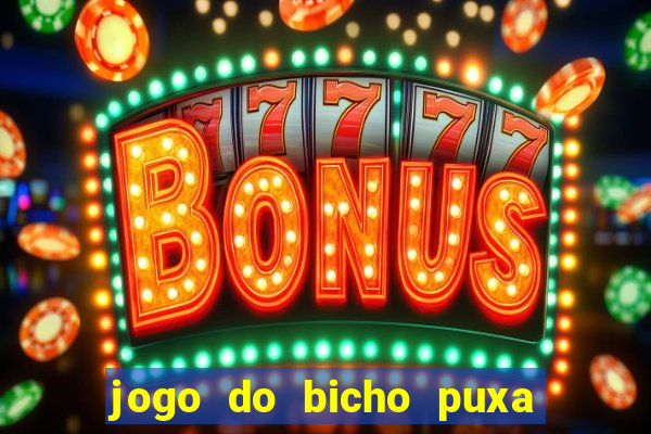 jogo do bicho puxa de dona maria