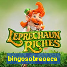 bingosobreoeca