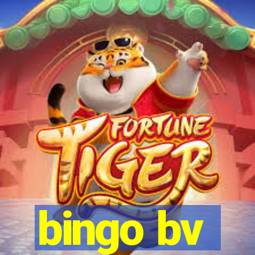 bingo bv