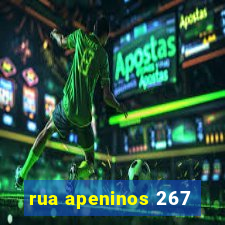 rua apeninos 267