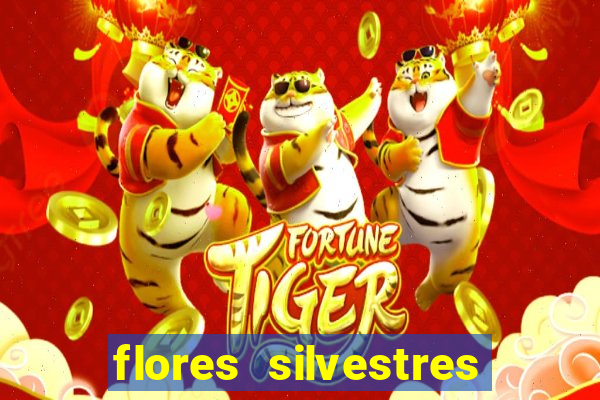 flores silvestres desbravadores desbravadores 25 flores silvestres e seus nomes