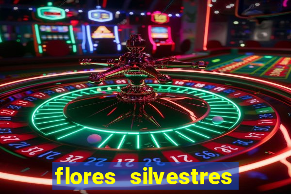 flores silvestres desbravadores desbravadores 25 flores silvestres e seus nomes