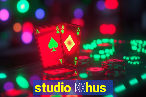 studio 姘搑hus