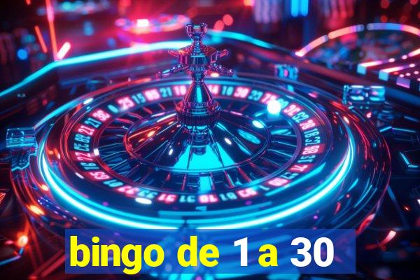 bingo de 1 a 30