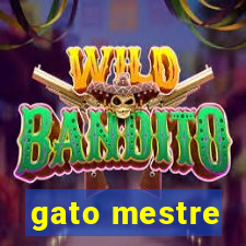 gato mestre