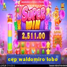 cep waldomiro lobo