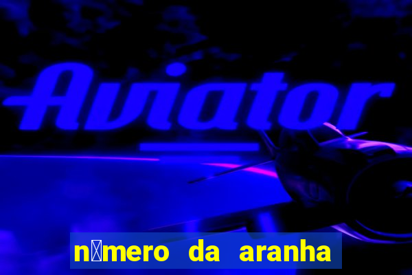 n煤mero da aranha na mega-sena