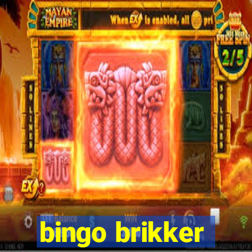 bingo brikker