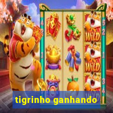 tigrinho ganhando