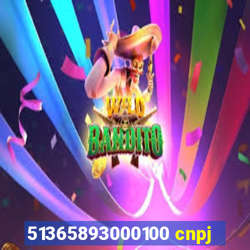 51365893000100 cnpj