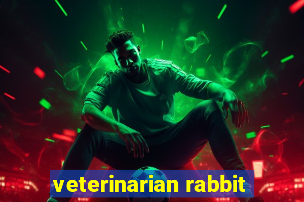 veterinarian rabbit