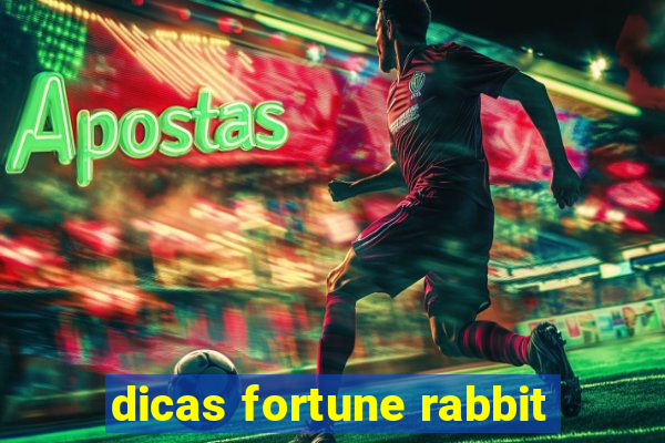 dicas fortune rabbit