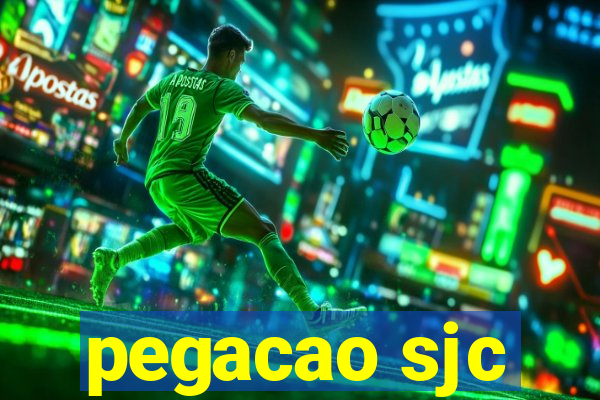 pegacao sjc