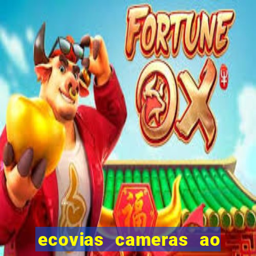 ecovias cameras ao vivo santos