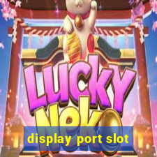 display port slot