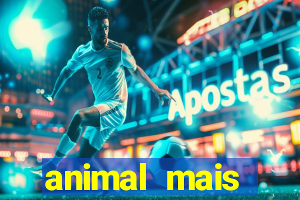 animal mais barulhento do mundo 230 decibeis