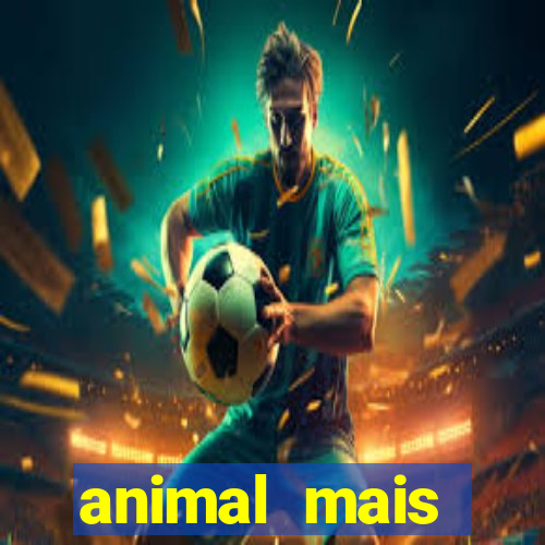 animal mais barulhento do mundo 230 decibeis