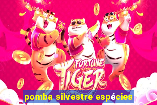 pomba silvestre espécies