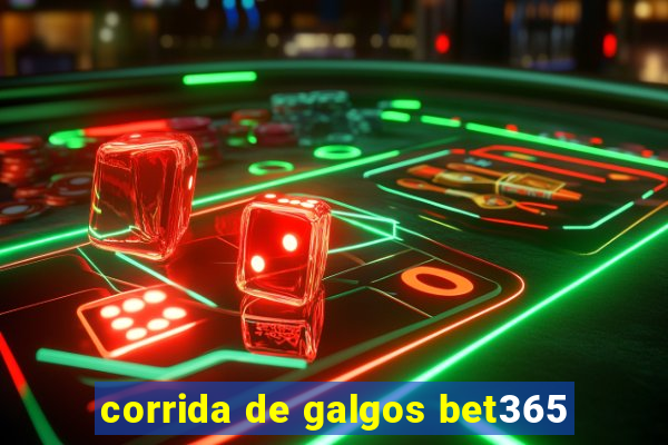 corrida de galgos bet365