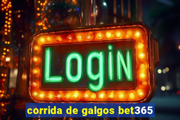 corrida de galgos bet365