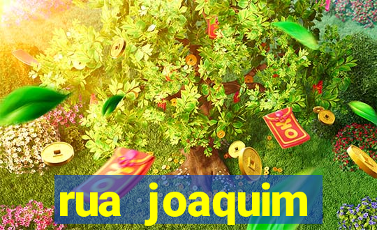 rua joaquim guarani, 360